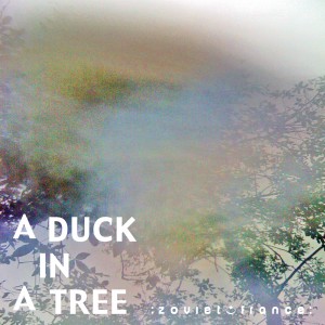 A Duck in a Tree